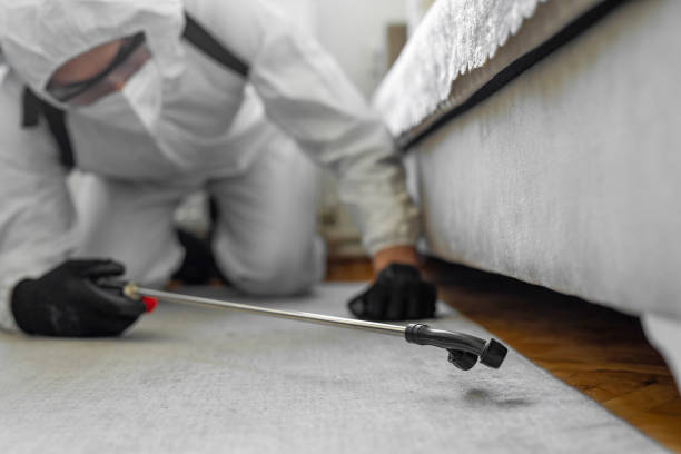 Professional Ant Control technician working in Pine Hills, CA