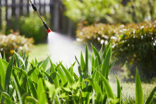 24/7 Emergency Ant Control experts in Pine Hills, CA