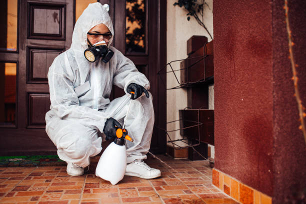 Reliable Ant Control contractor in Pine Hills, CA by Nex Pest Control